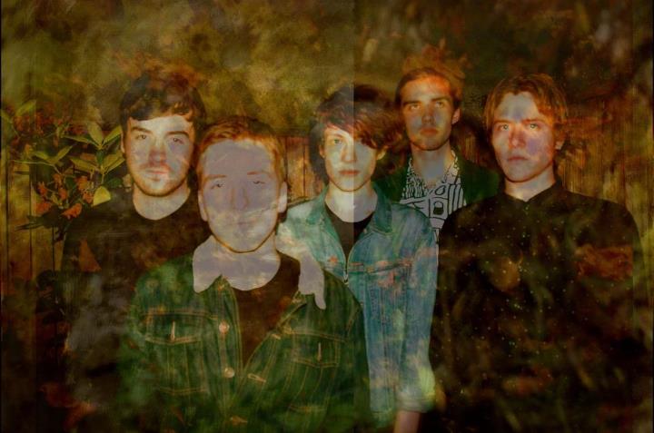 Womens Murder Club Q&A